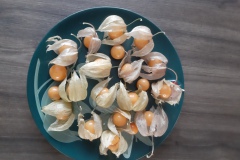 Kaapse bessen 2 (Ria Lodder)