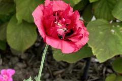 Unknown-2