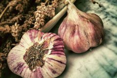 garlic