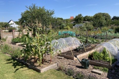 groeien-in-bakken