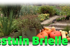 moestuinbrielle-4