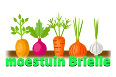 moestuinbrielle-5