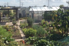onze-tuin