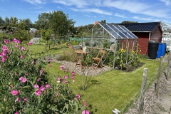 overzicht-tuin-